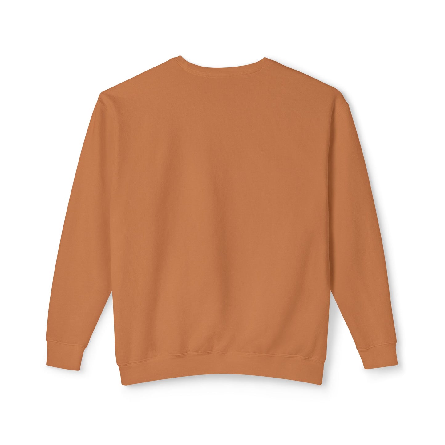 Cutest pumpkin season retro comfort colors sweatshirt, perfect for all fall girlies !