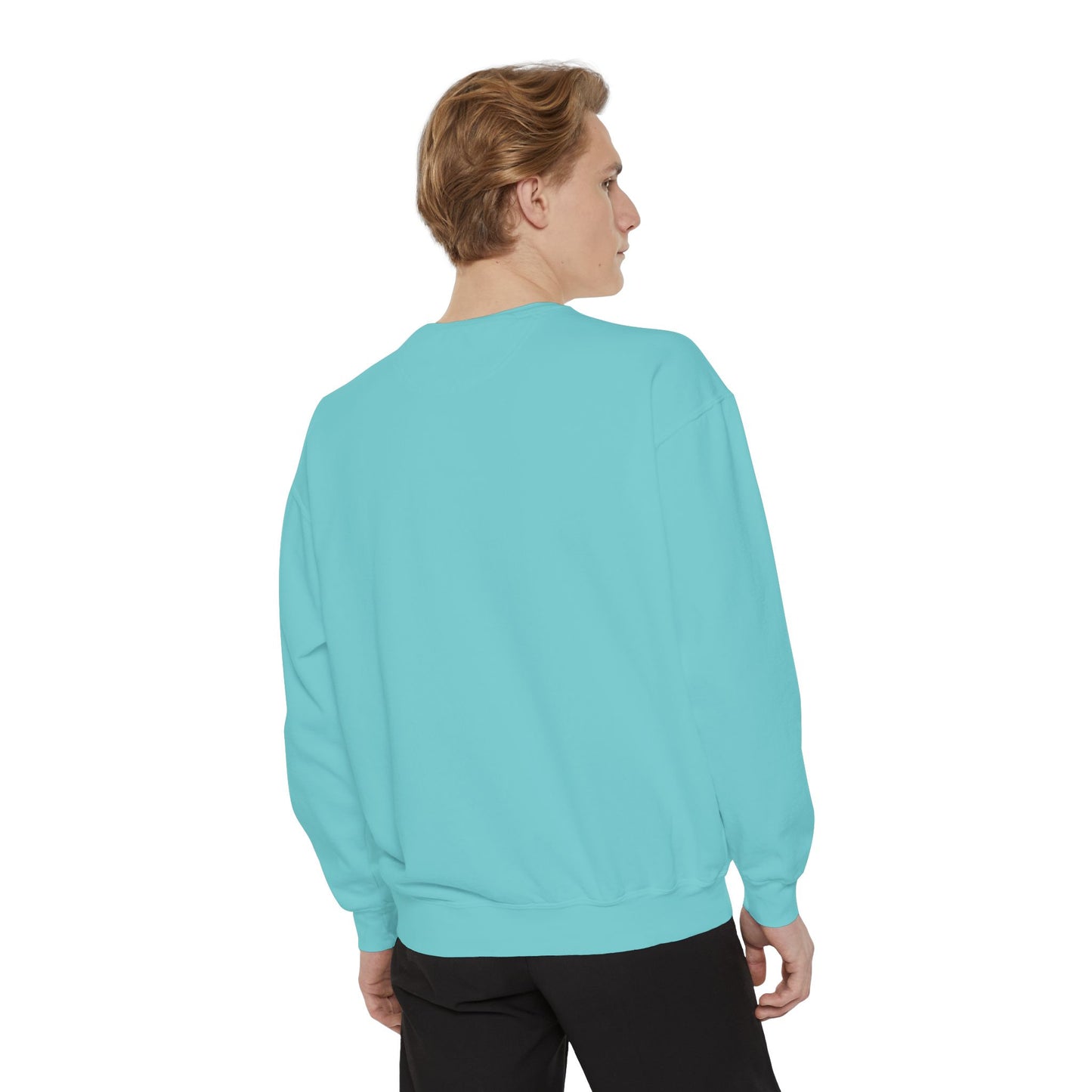Labor and delivery stl comfort colors sweatshirt, cozy sweatshirt !
